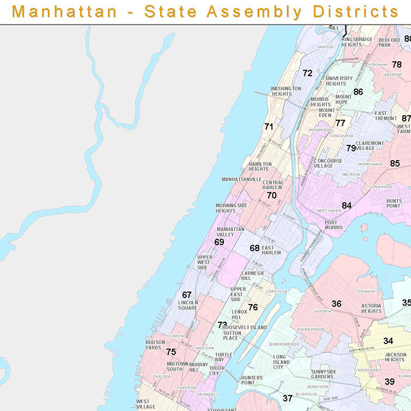 NYS assembly district map